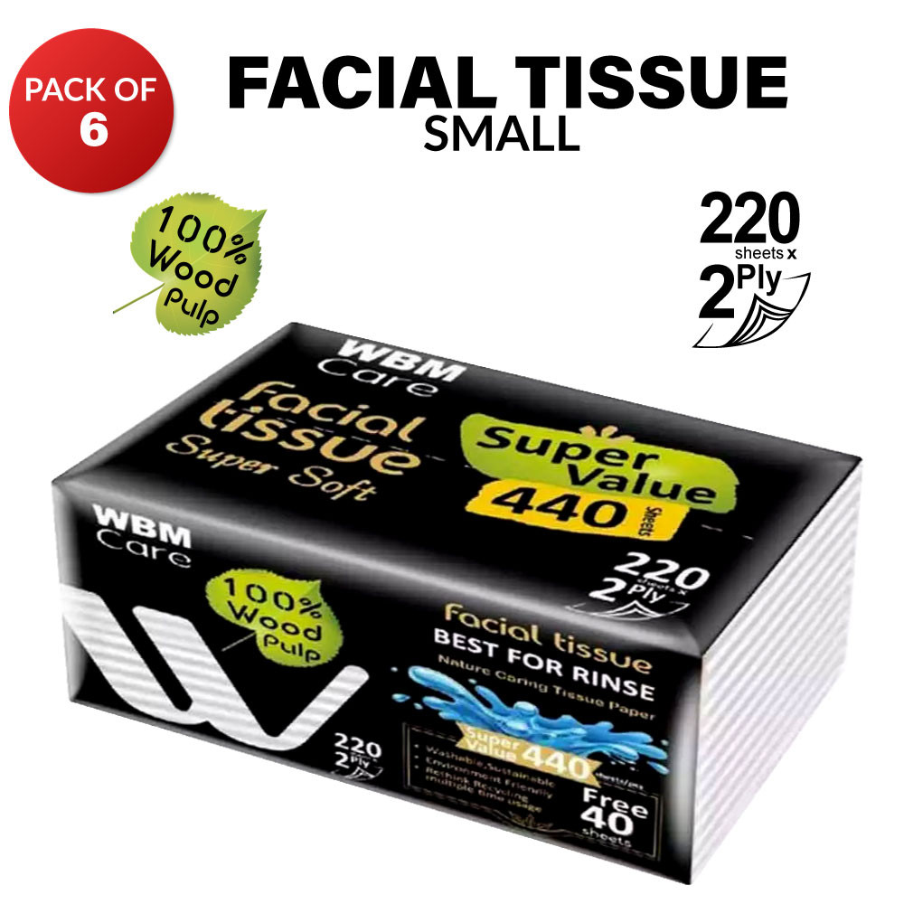(Pack of 6) WBM Facial Tissue Paper 440s (2 Ply) Super Soft Tissues Made with 100 Wood Pulp