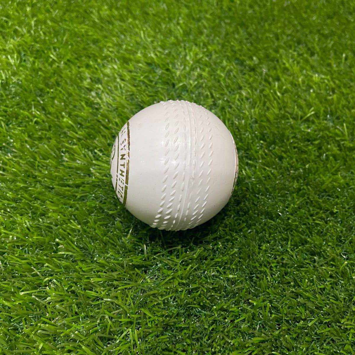 Practice Cricket Hard Ball (Synthetic)