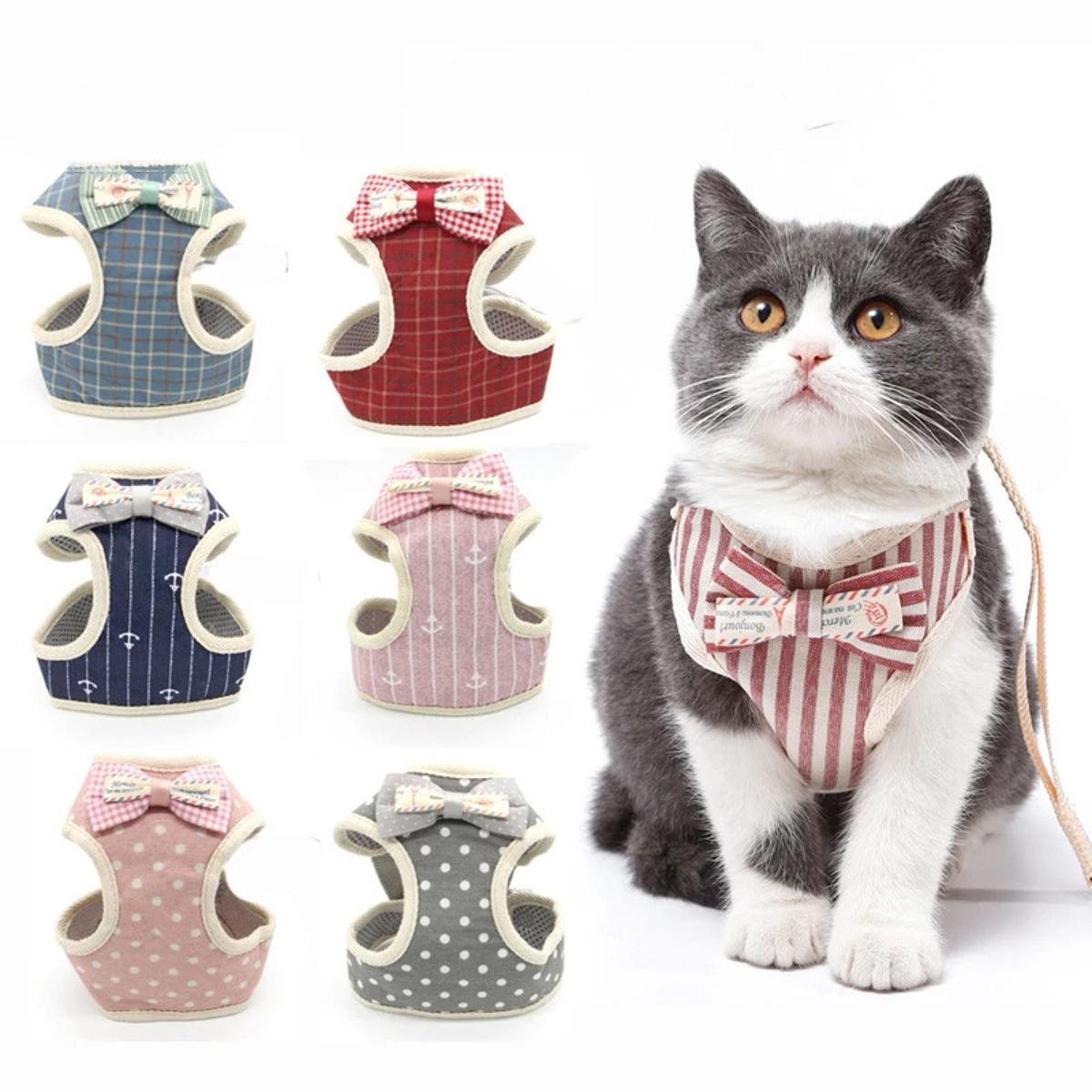 Buy Cat Collars Leashes Cat Collars Leashes Price Online Daraz.pk