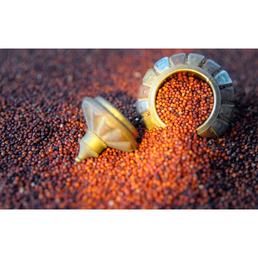Danodia Foods Whole Grain Finger Millet (Ragi) 750gm| Hulled, Unpolished, Gluten-Free, Natural Superfood | High in Iron, Calcium, Fiber & Protein | Non-GMO, Low GI