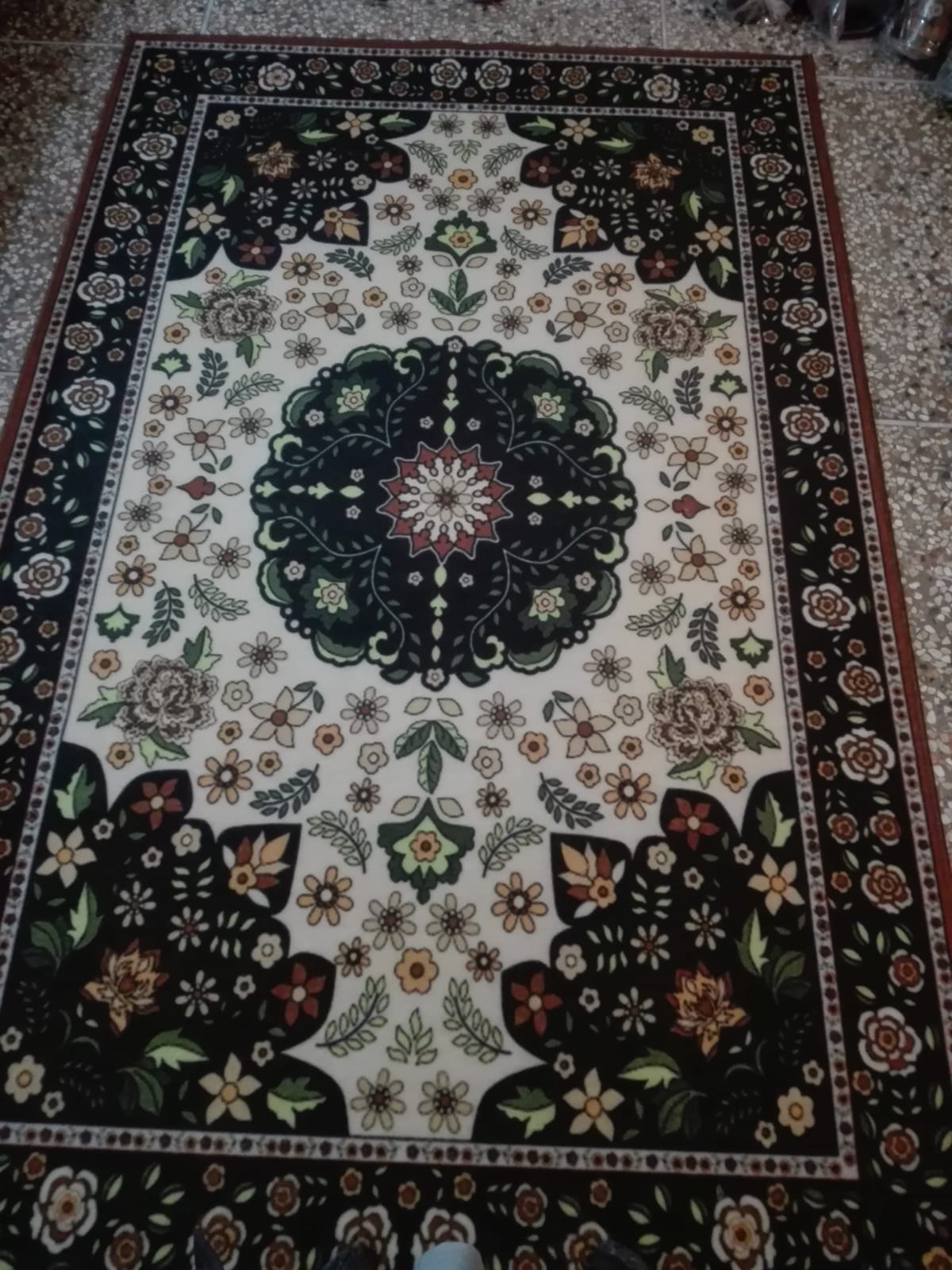 Living Room Carpet 4ft x 6ft, Digital Printed Polyester Microfiber Rug with Felt Protection, Multi-Color Center Piece