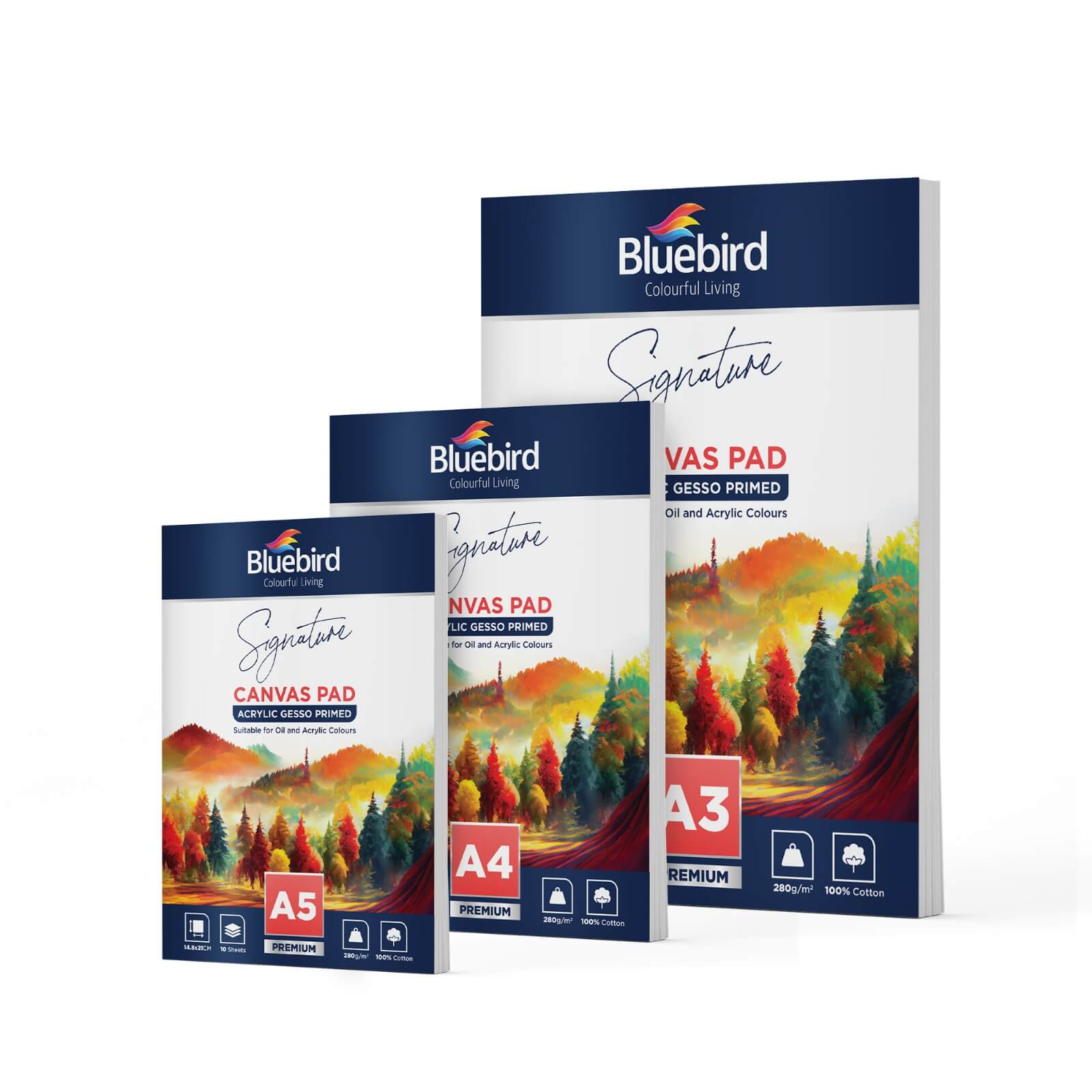 Bluebird Arts Signature Canvas Pad 280 gm 10 sheets Daraz.pk