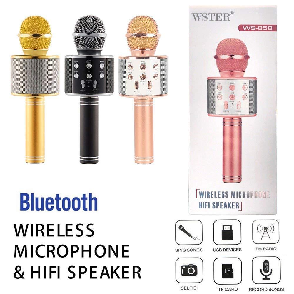 wster wireless microphone hifi speaker