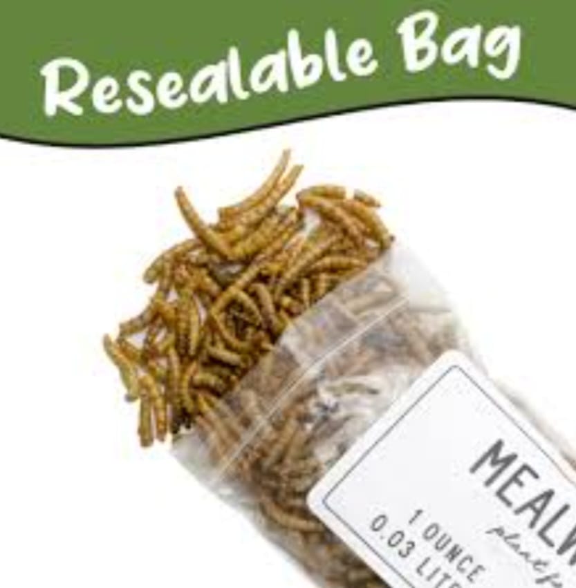High Protein Dried Mealworms 50g - 100% Original Fish Food, Wild Bird Feed & Exotic Pet Food (Dry Insects Meal Worms)