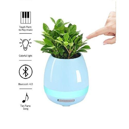 music plant pot