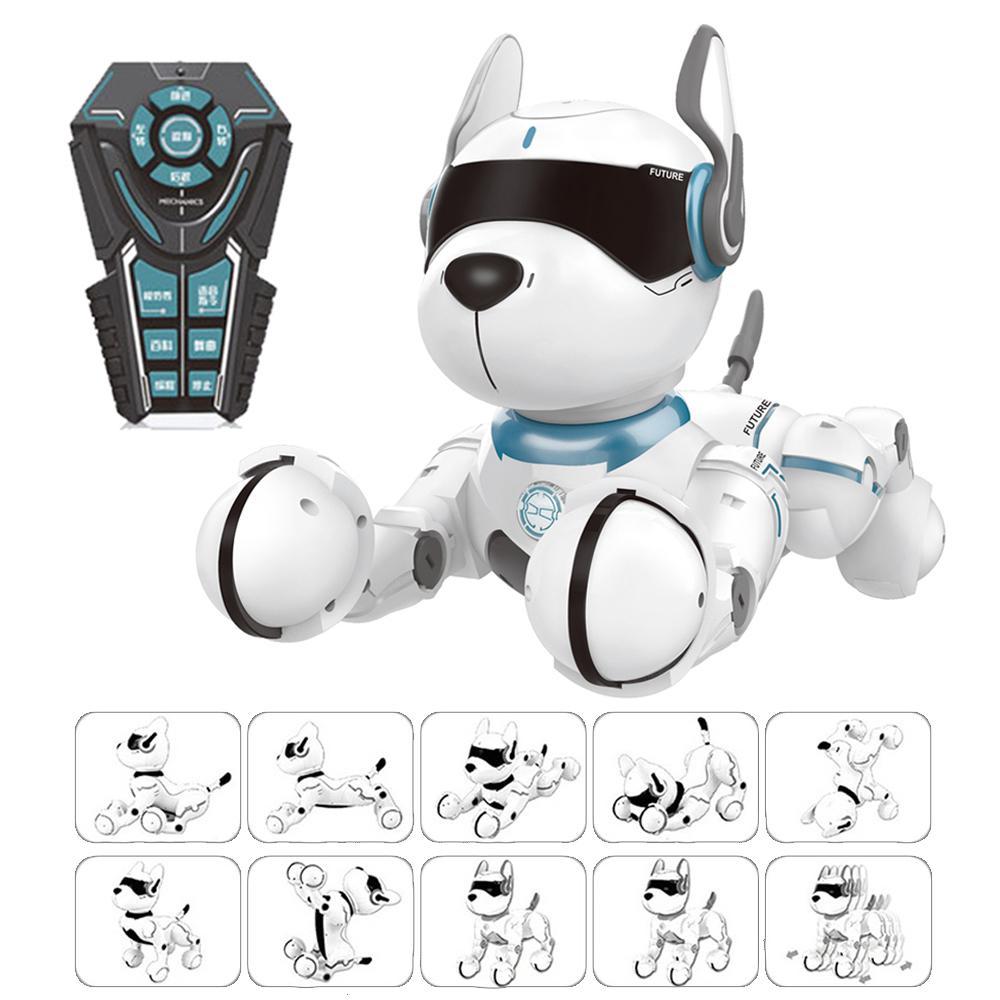 chip remote control dog