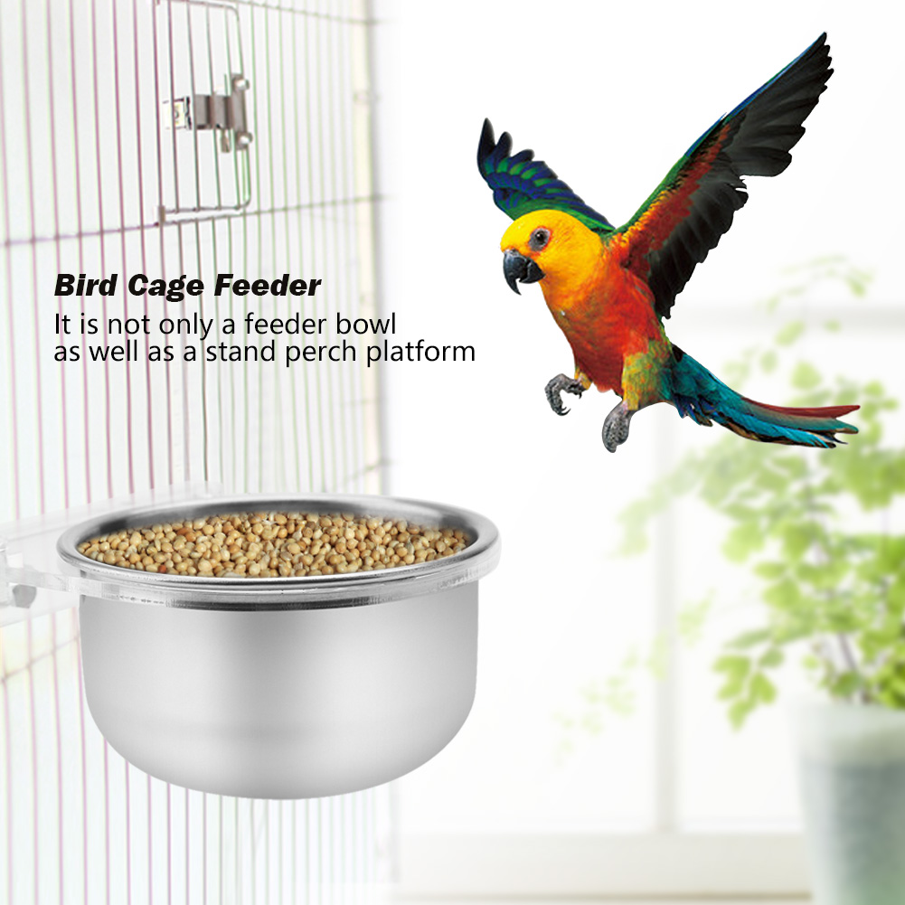 parrot feeding bowls