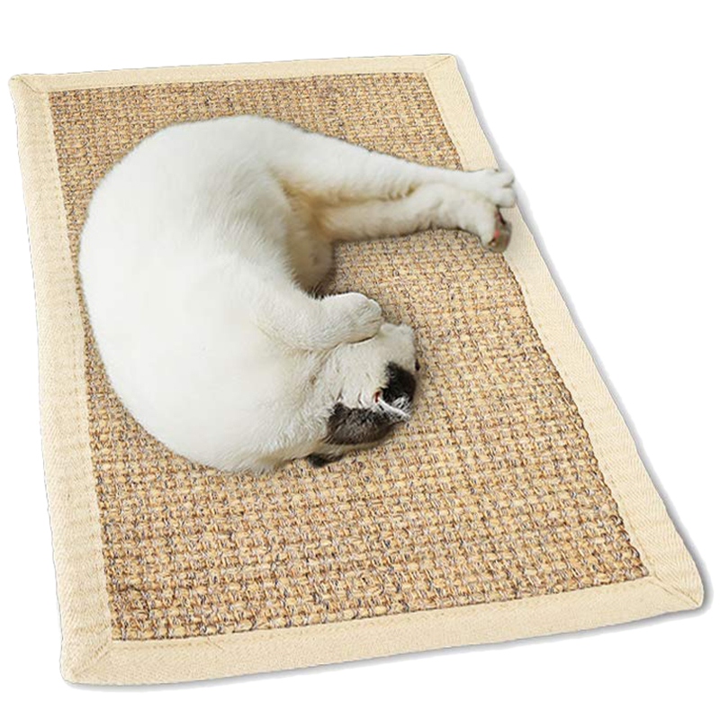 How To Protect Carpet From Cats