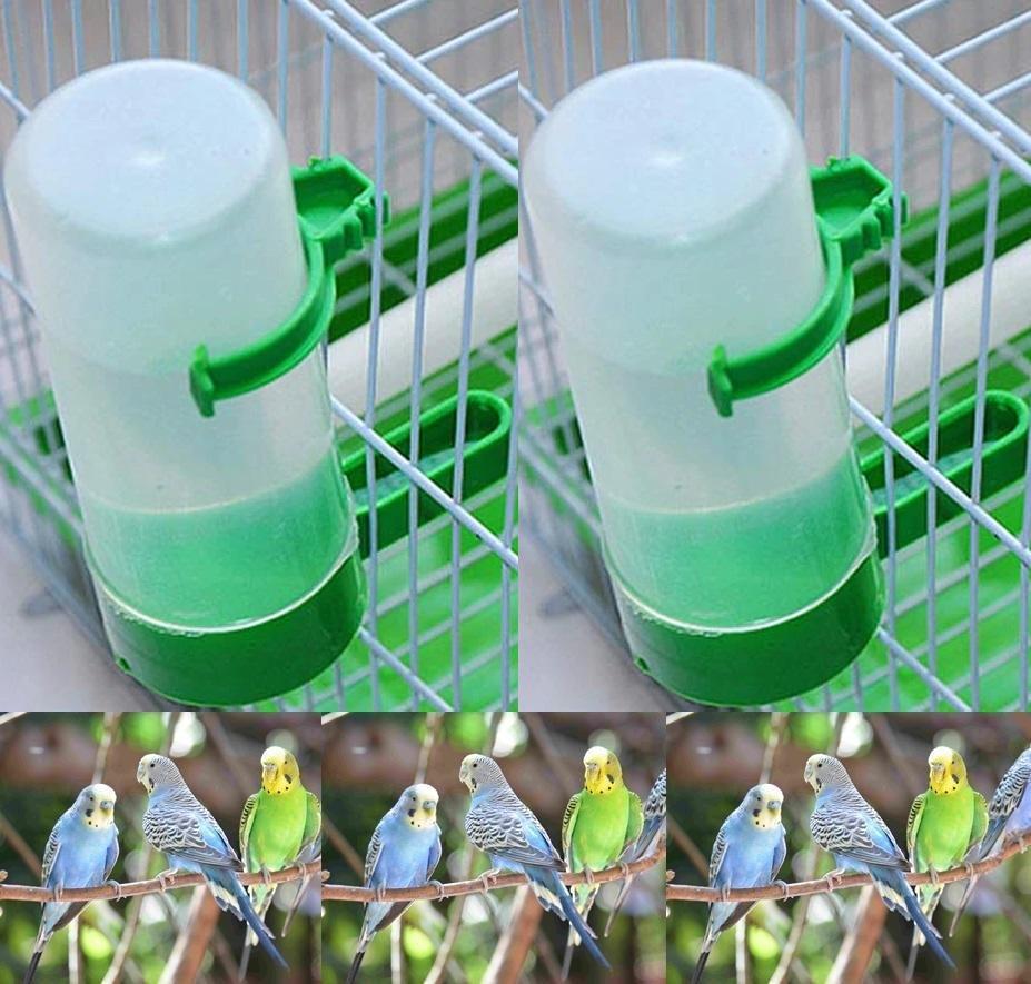 budgie sipper bottle