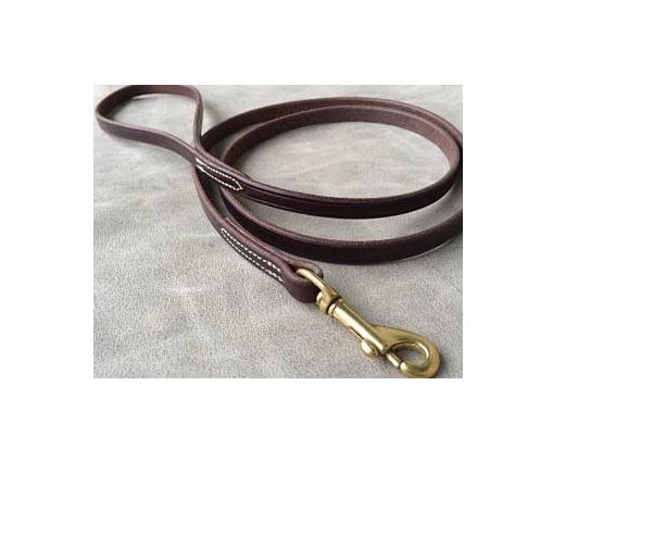 dog show leash