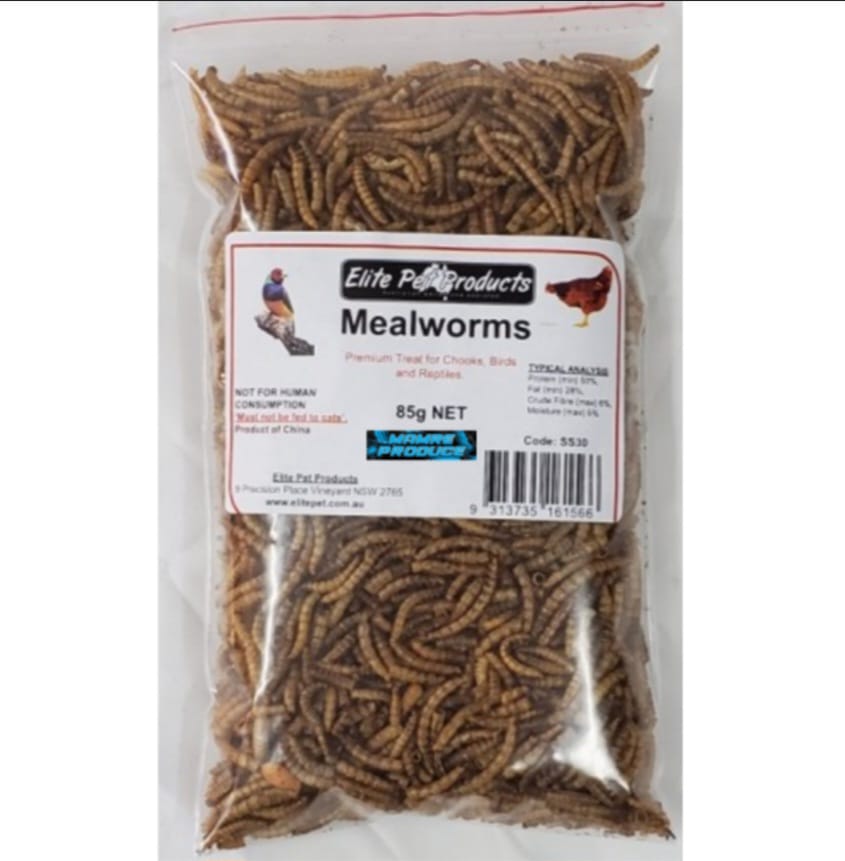 High Protein Dried Mealworms 50g - 100% Original Fish Food, Wild Bird Feed & Exotic Pet Food (Dry Insects Meal Worms)