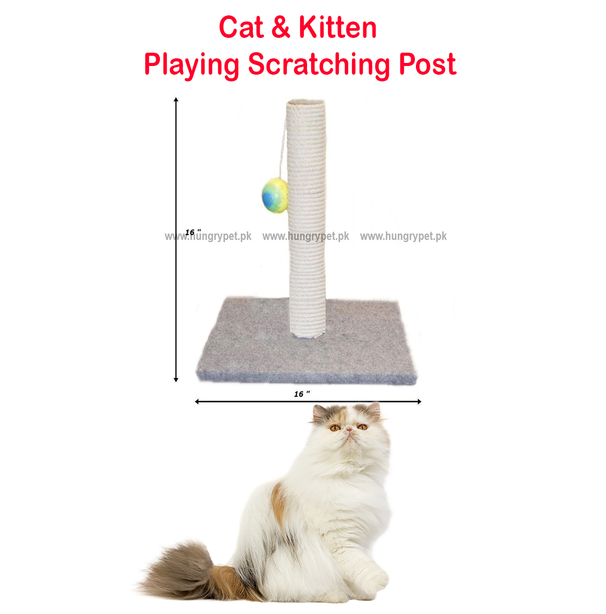 cat scratching post with bed