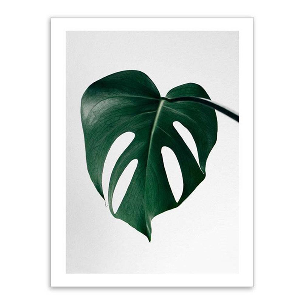 nordic monstera wall art painting poster pictures home bedroom frameless decor: buy online at best prices in pakistan daraz.pk nordic monstera wall art