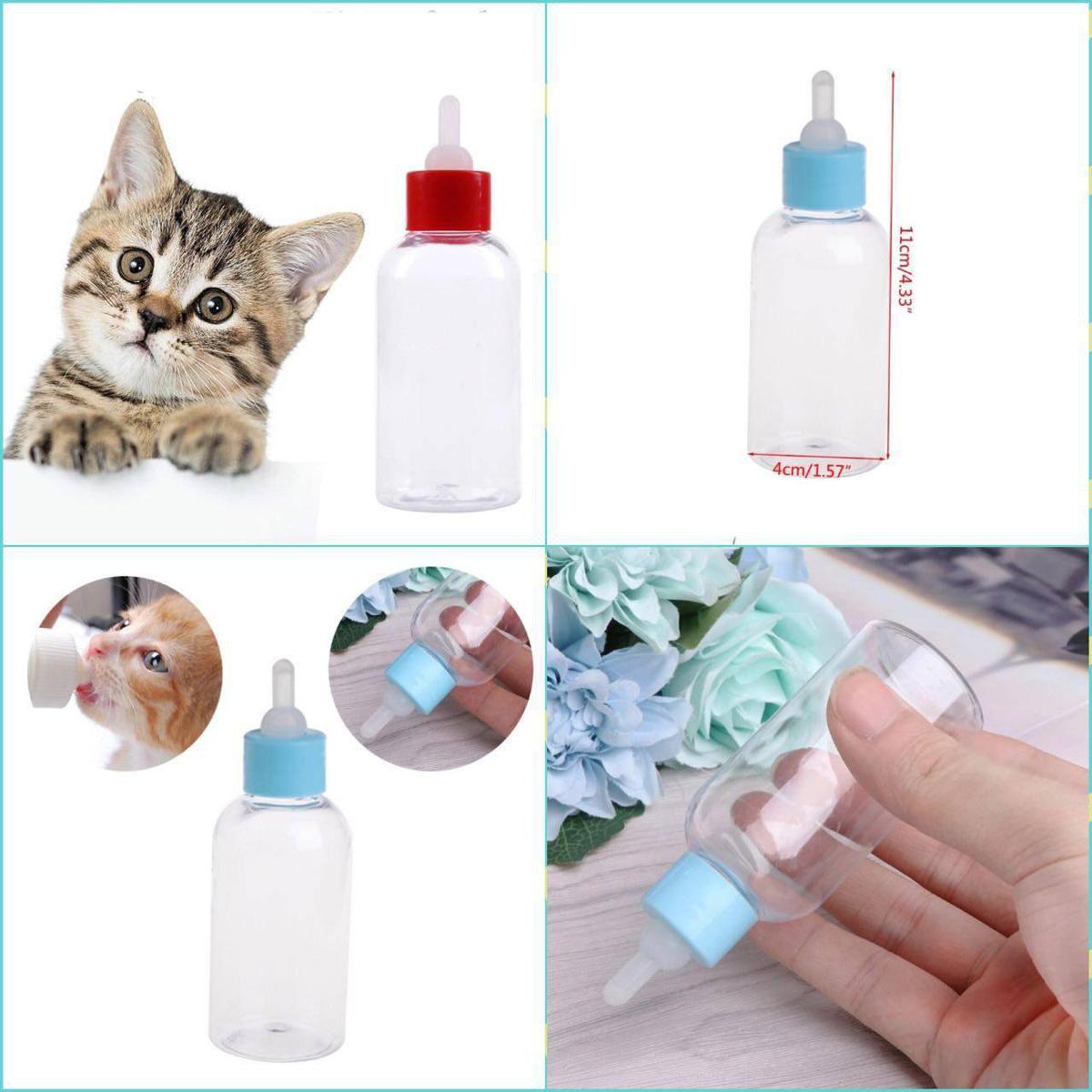 Cat shop bottle feeder