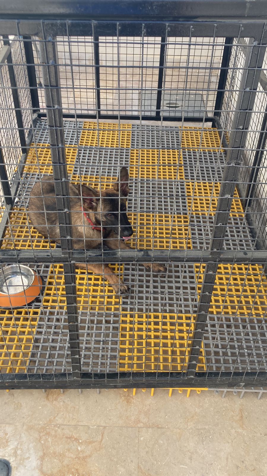 Pets Floor Mat, Floor Grating, Strong Plastic Mat, 1*1 sqft Attachable