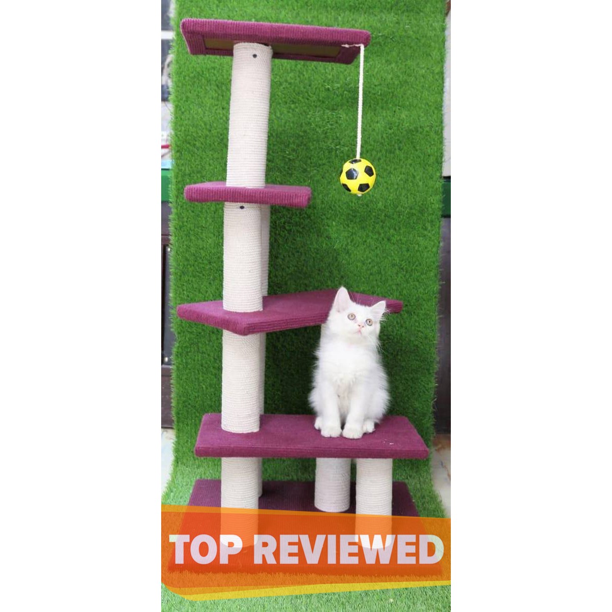 used cat tree safe