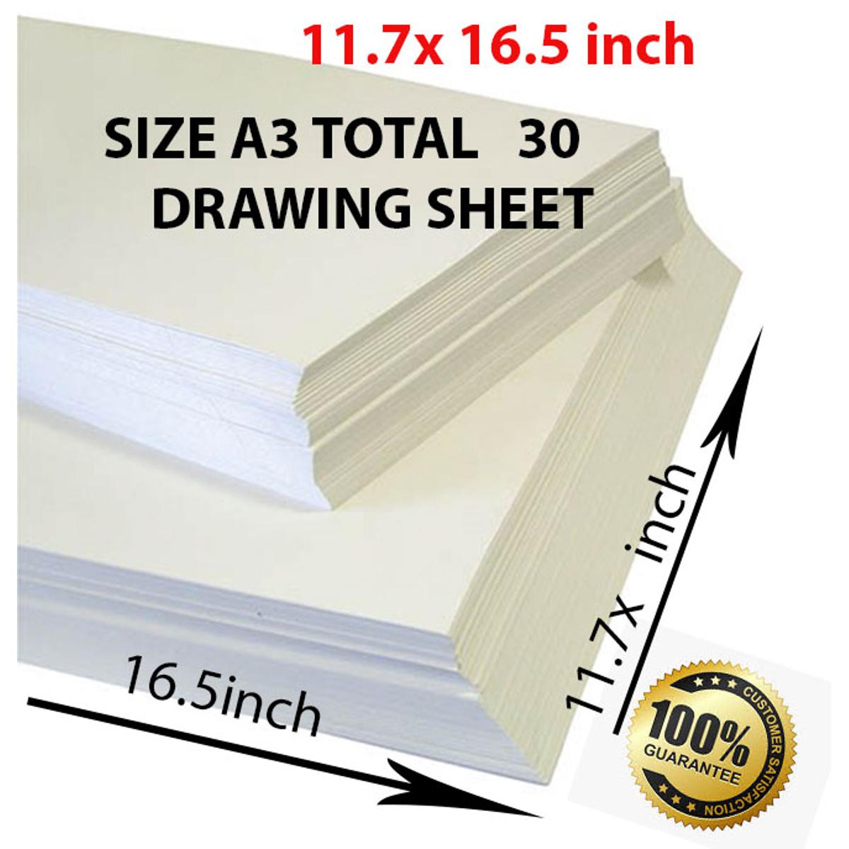 Eclet A3 Size, 225 GSM Smooth Finish Ivory Drawing Paper Sheets, White, 165  Inch x 1175 Inch, Combo Pack of 100 Sheets(A) | Eclet