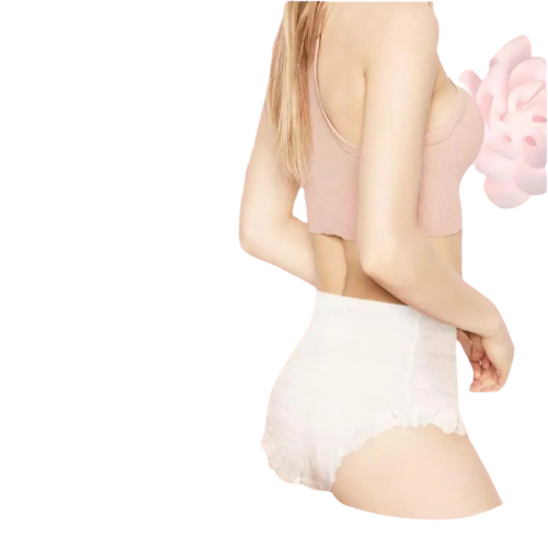 Disposable Period Panty, Women Period Underwear, Postpartum panty, Sanitary Napkin Pants, Menstrual Pull-up Pant