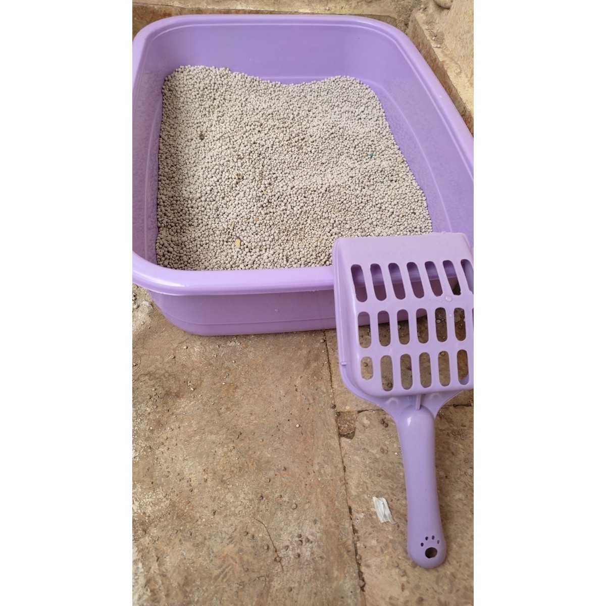 Kitten Litter BLUE PINK PURPLE BLACK Daraz.pk