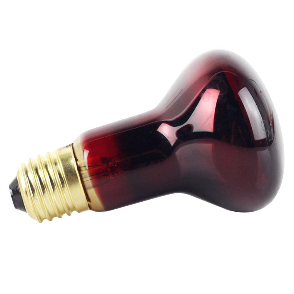 40 watt heat bulb