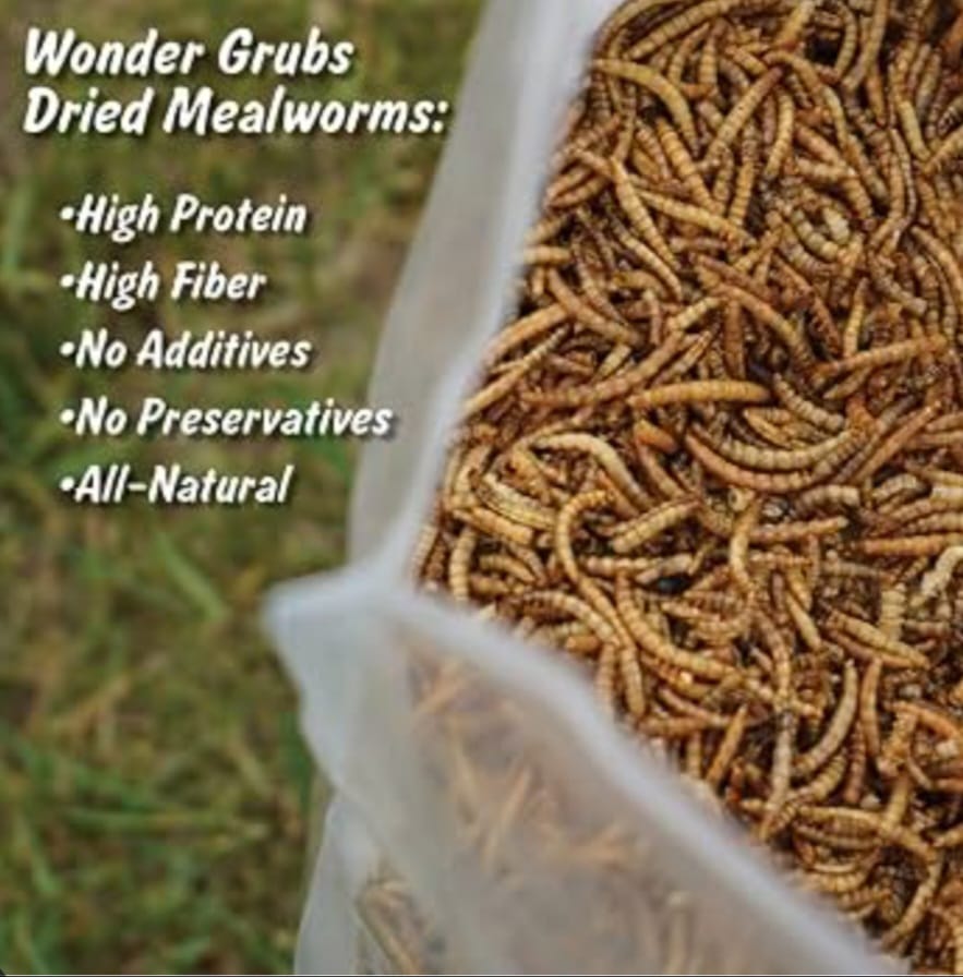High Protein Dried Mealworms 50g - 100% Original Fish Food, Wild Bird Feed & Exotic Pet Food (Dry Insects Meal Worms)