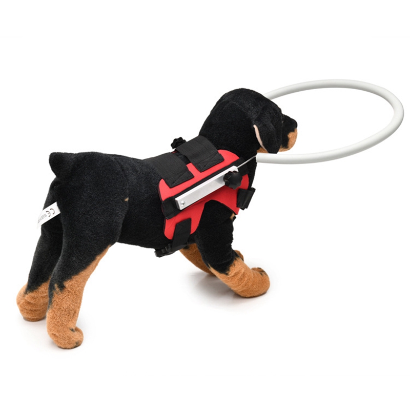 Hoop harness for blind dogs hotsell