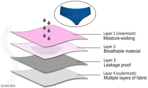 Leak Proof Multicolor Medium Absorbent Period Panty - 4 Layered, Washable and Reusable