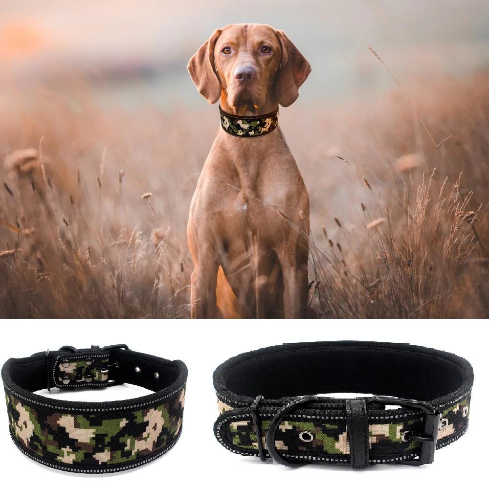 camo dog lead