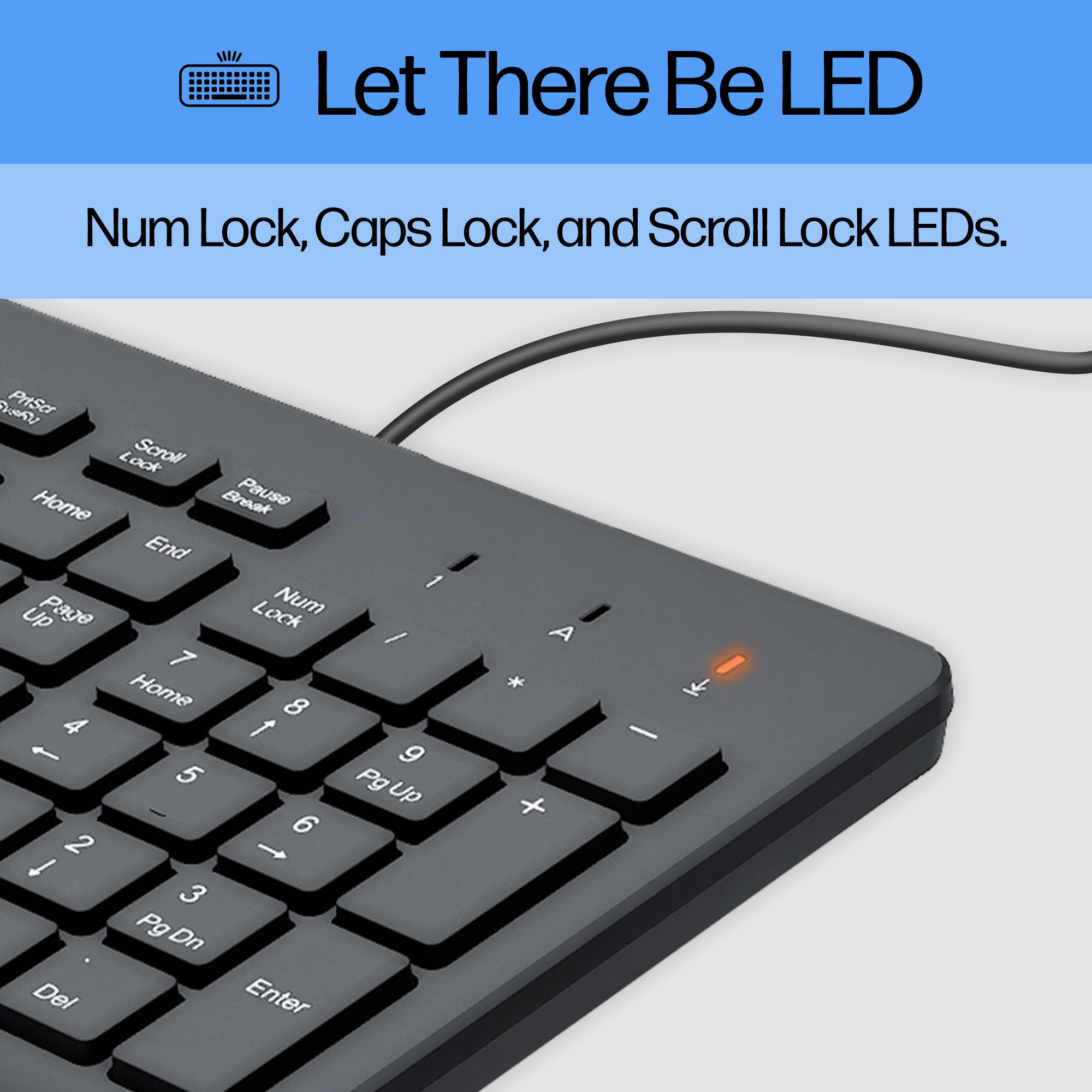 HP Wired Keyboard Reliable Typing Performance Durable Build For Everyday Typing Responsive Key Feedback For Gaming and Work
