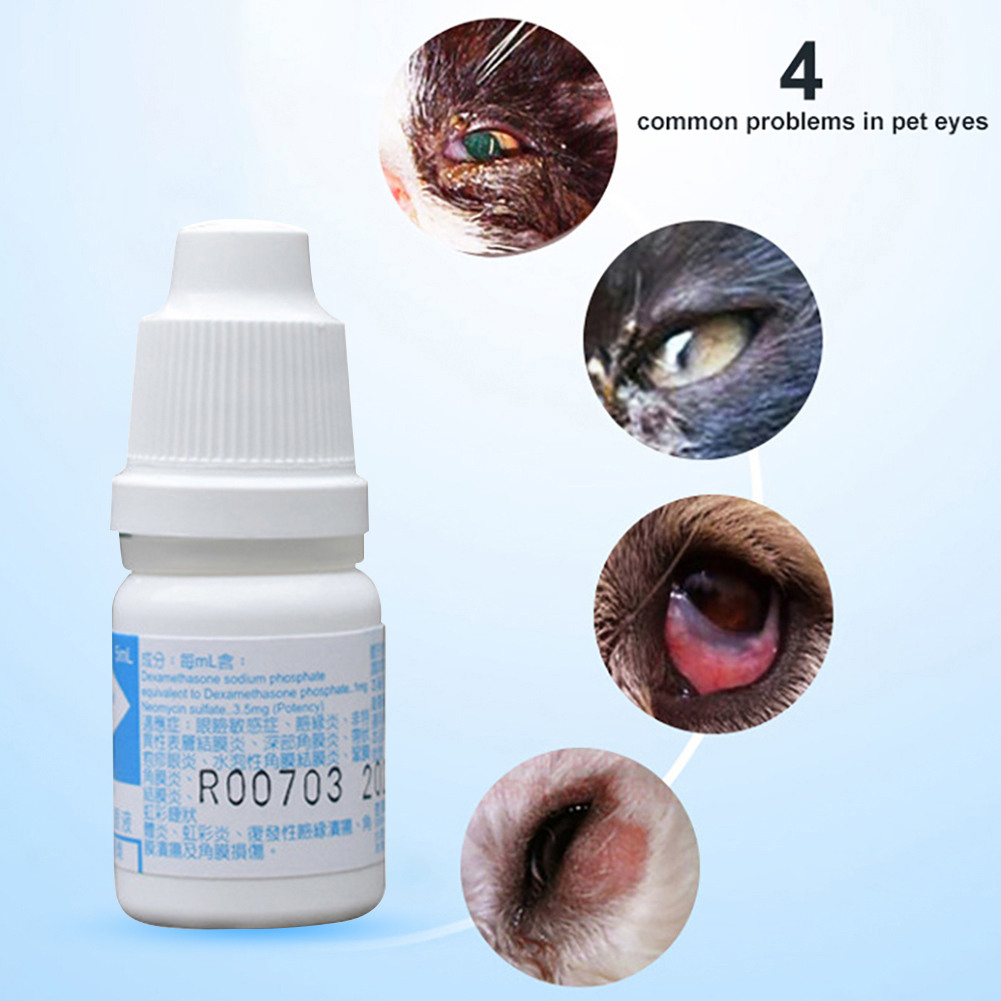 5ml Health Care Dog Cat Remove Tear Stains Dirt Liquid Eye Drops Pet Supplies Daraz.pk