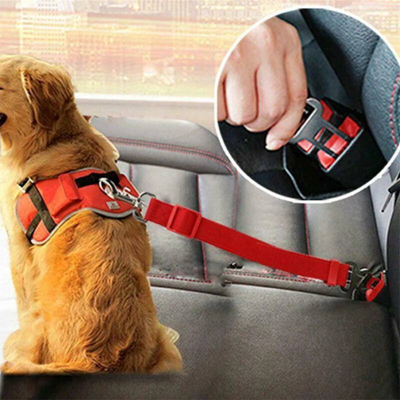 adjustable lead for dogs