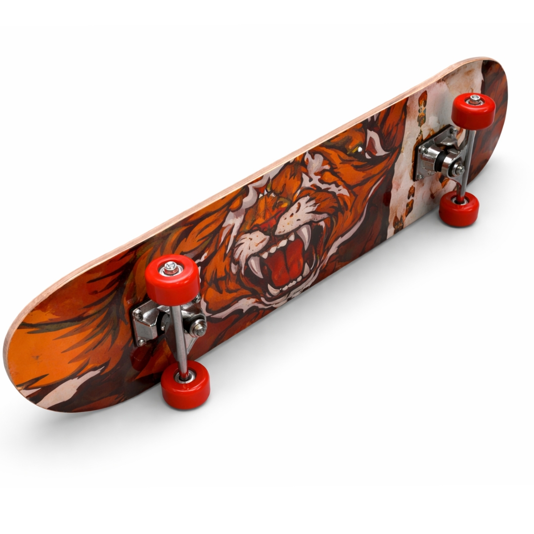 Skateboard for Kids Boys Girls Available Size 17,23 and 28 Inches Multi-Color