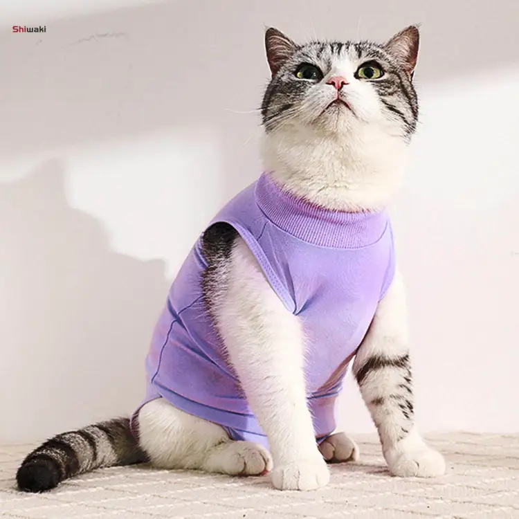 Cat sweater 2024 to stop licking