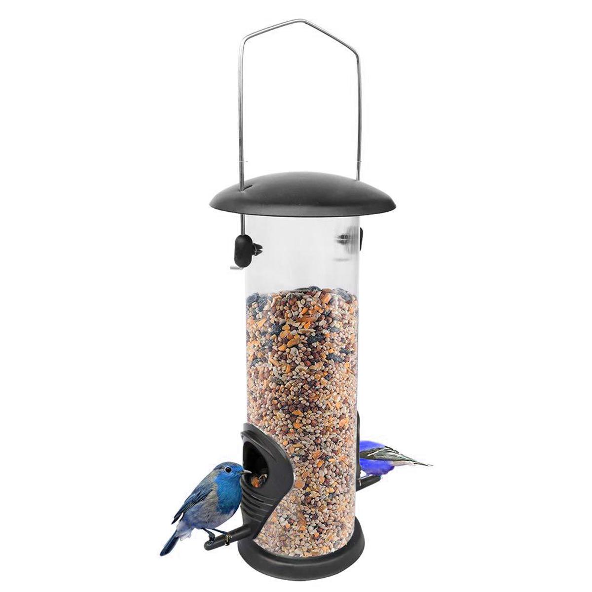 seed dispenser for birds