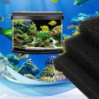 aquarium fiber