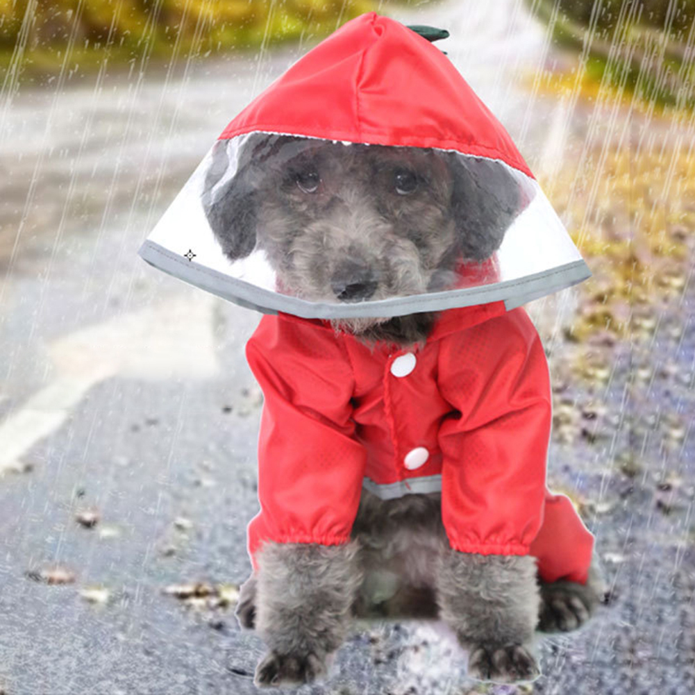 Dog rain jacket hot sale with umbrella