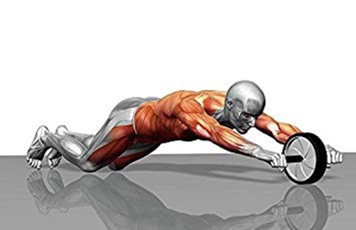 Abdominal Fitness AB Wheel Roller Single