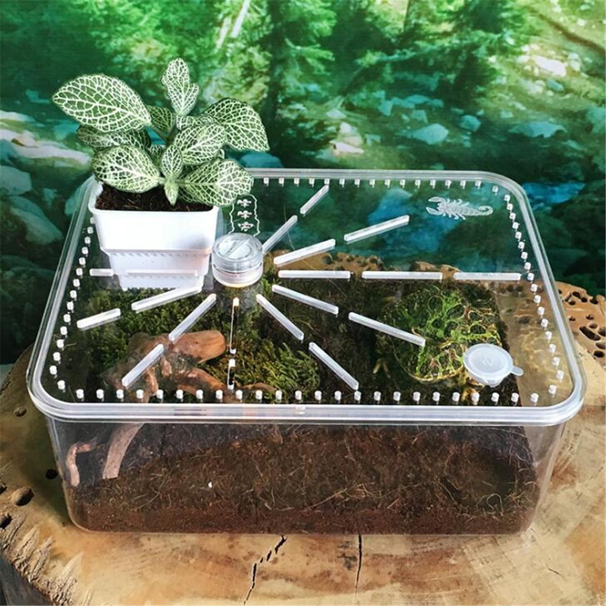 plastic tortoise house