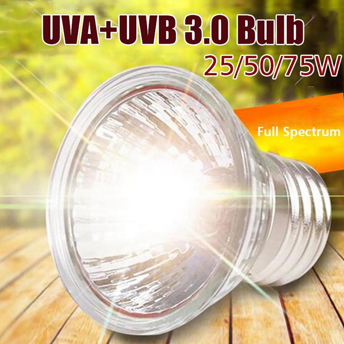 Uvb 2024 halogen bulb