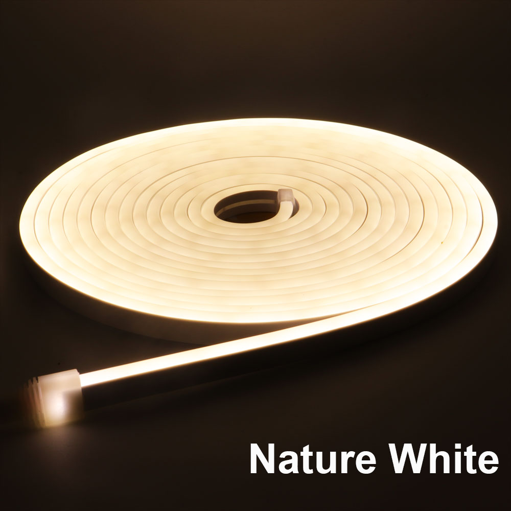 DC12V - LED Strip - RGB - Neon - LED Light - Waterproof - Flexible - Bendable - 5M - 16ft - Decorative For Room - Home Decoration - Gaming PC - Bedroom - Kitchen By GULF LED HOUSE