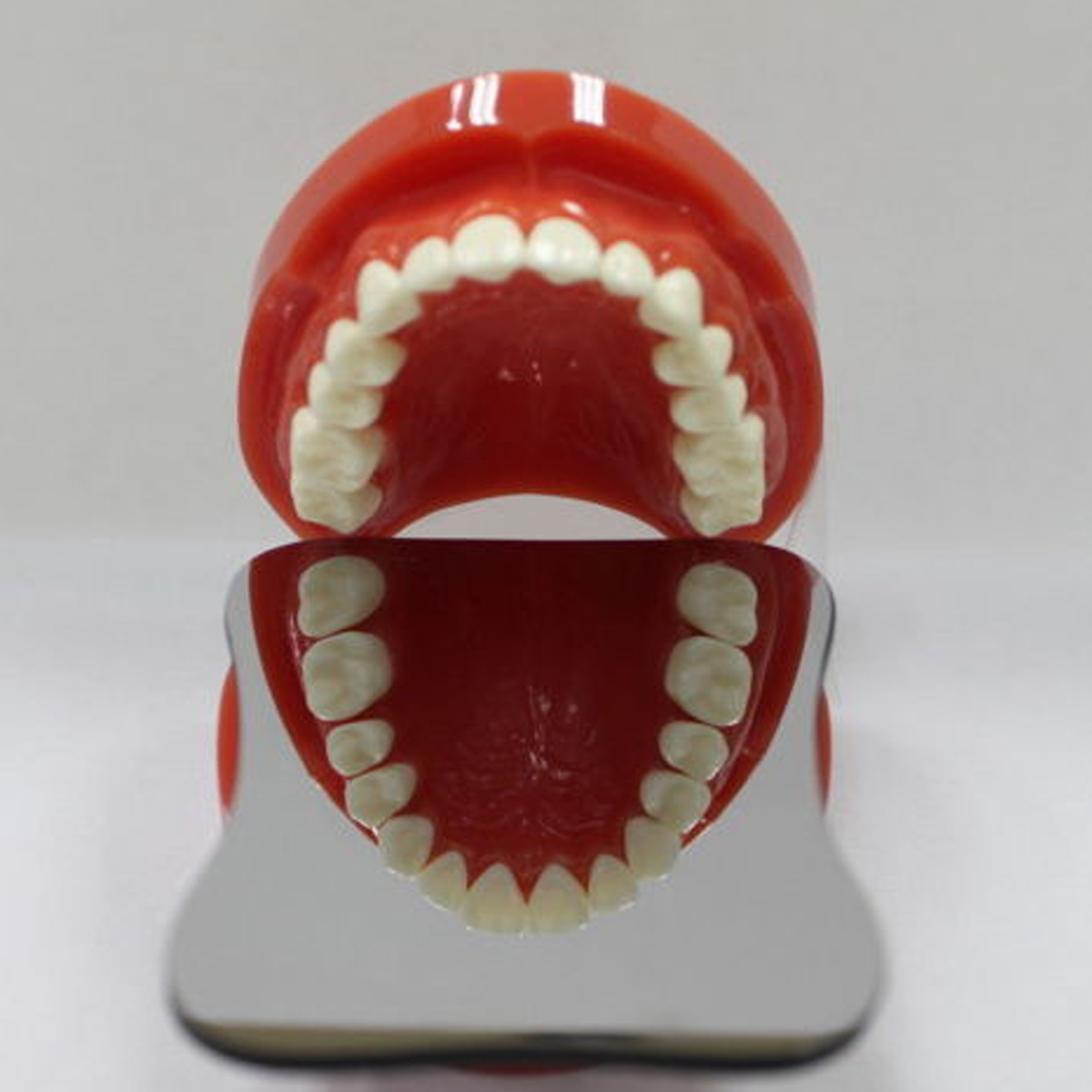 Espejo de vidrio fotográfico de ortodoncia intraoral dental 2 caras de