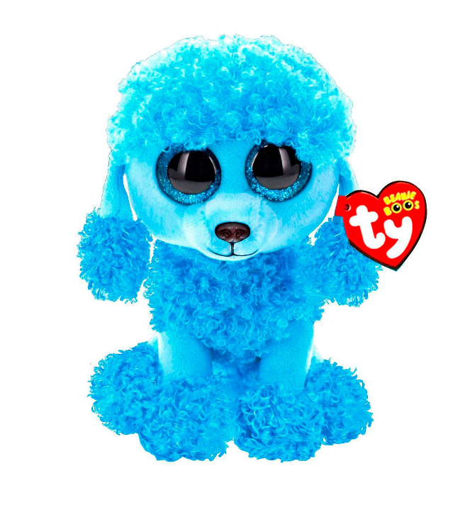 Mandy the Blue Poodle