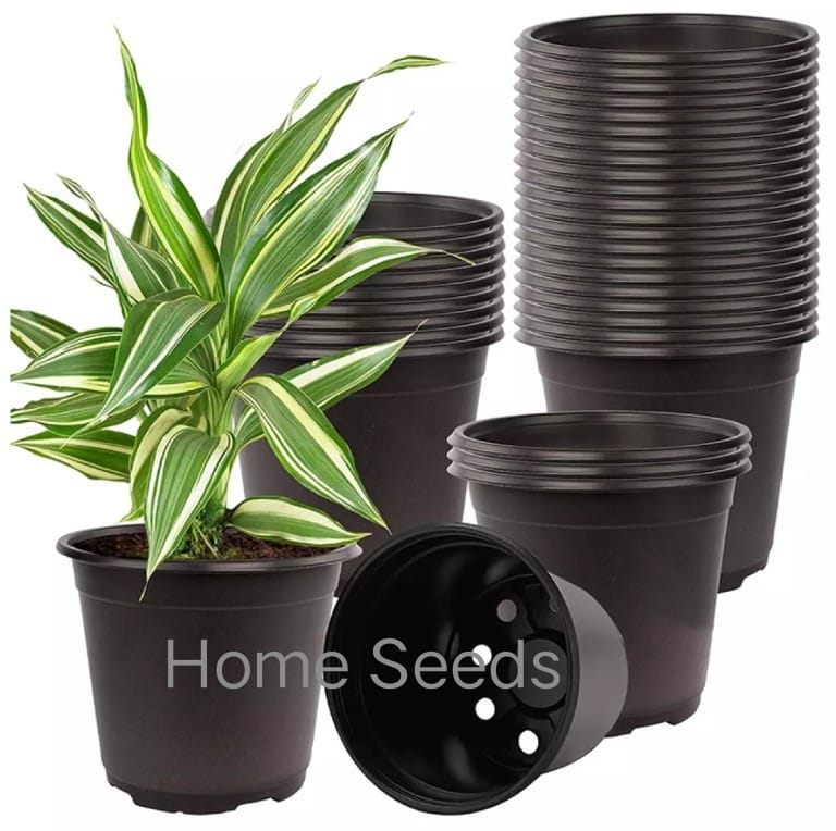 Pack of 20 Pots for plants and flower growing Dia 4.0 inch height 4.0