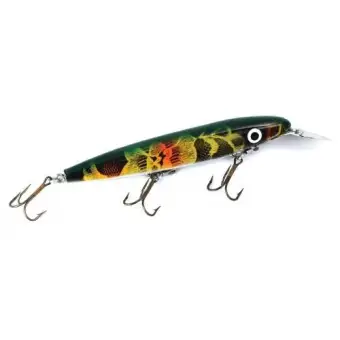 cisco kid lure