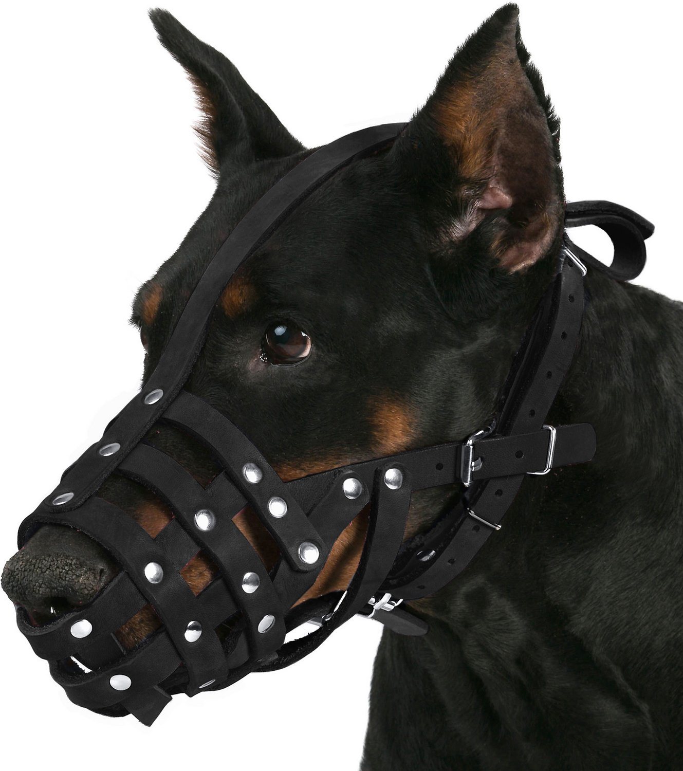 strong muzzles for dogs