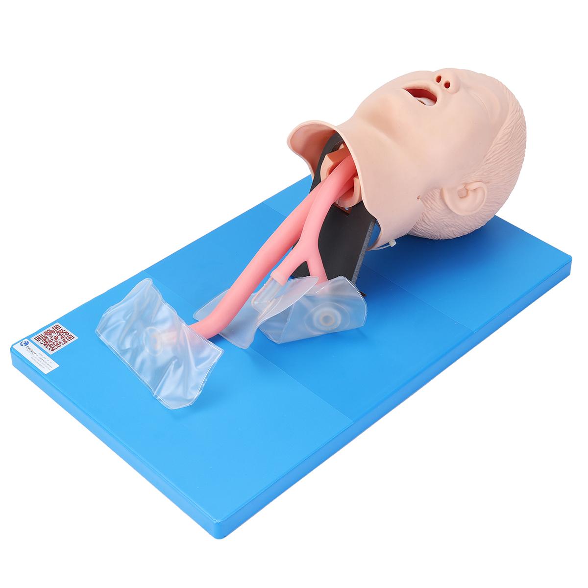 Shop Generic Intubation Manikin Study Teaching Child Model Airway ...