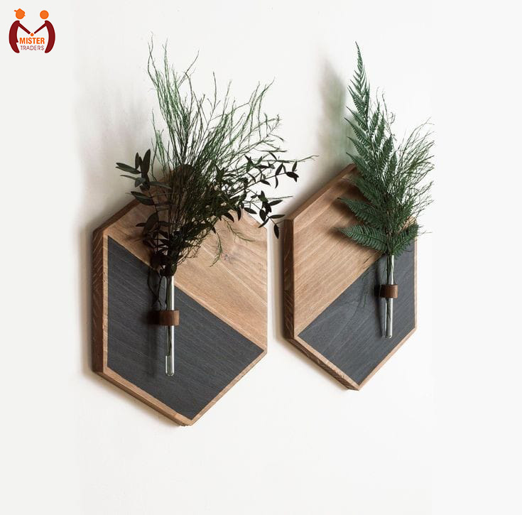 Mister Traders Brand Hexagon Wood Frames with Glass Tube Planters I Planters I Planters With Stand I Wall Decoration Items I Planter I Wall Décor I Decorating Items I Home Décor I Home Decorations Items I Office Decoration I Office Décor