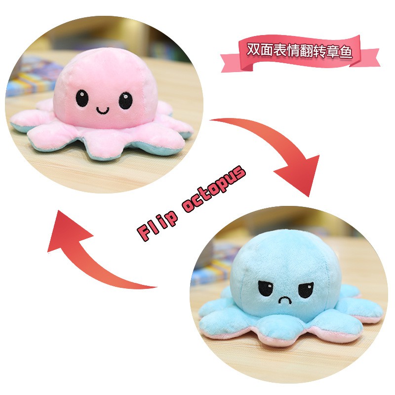 teeturtle squid