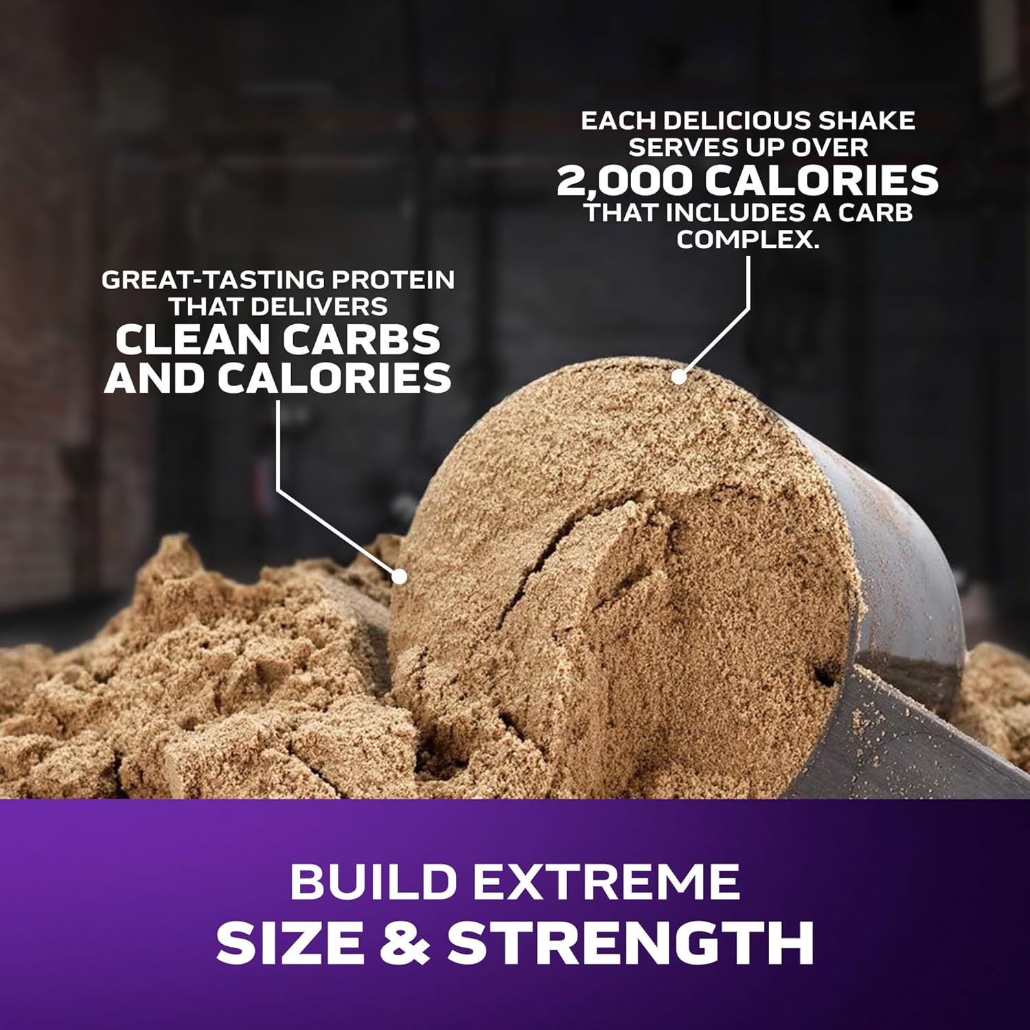 Muscle Tech MassTech Extreme 2000 - Mass Gainer Protein Powder Supplement - Weight Gainer for Increase Muscle, Enhanced Recovery & Strength.