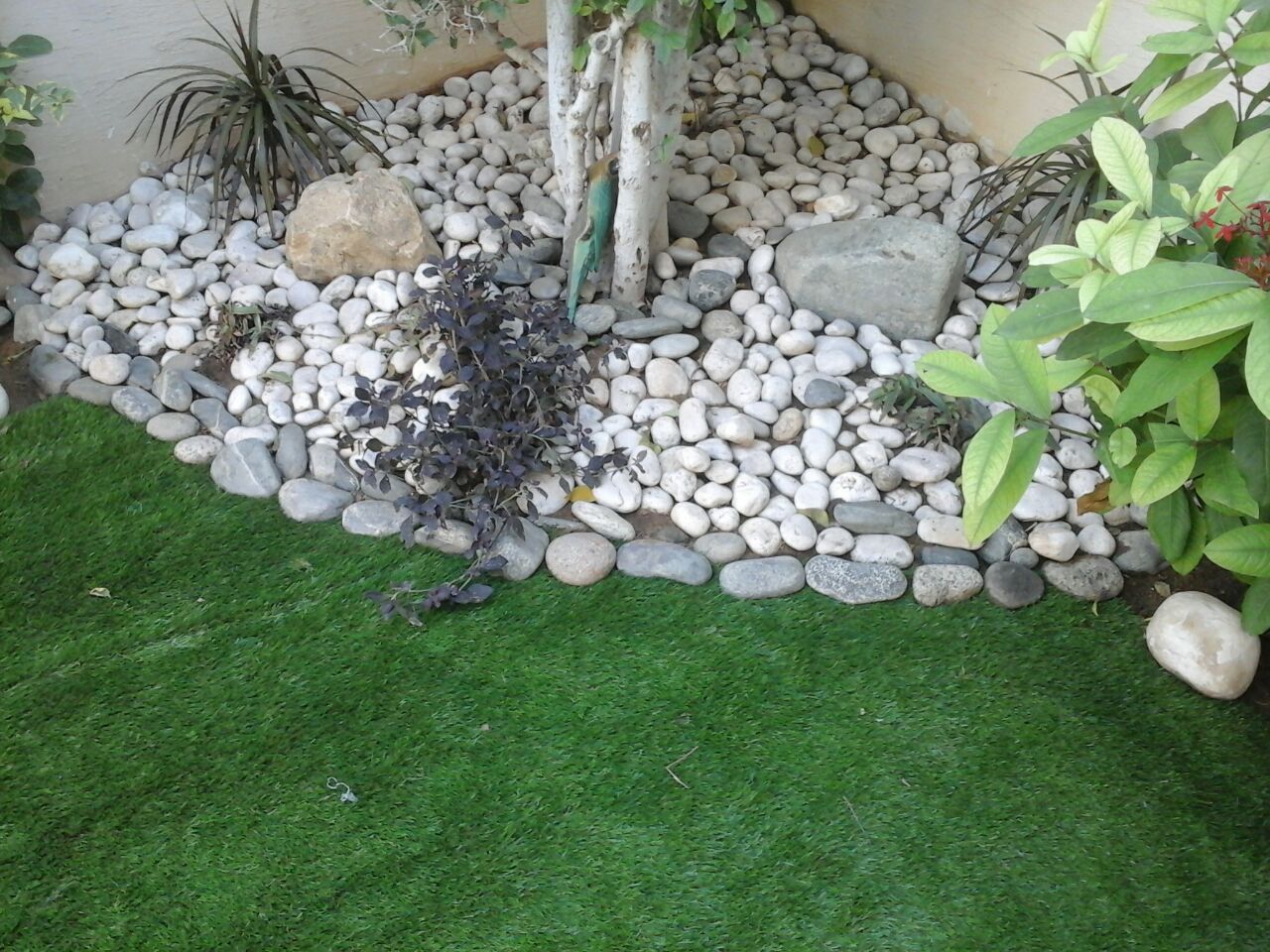 Real Feel Artificial Grass · Material: Plastic (PP + PE) · Grass Hair Length: 20 mm